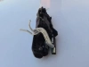 Задняя правая ручка двери Toyota Corolla E210 (2020-) OEM 69211-02934