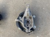 Кулак поворотный передний левый Hyundai Santa Fe 4 TM 2020-2024 OEM 51754-E6500