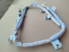 Шторка безопасности левая Lexus RX 4 (GGL25L) 2015-2022 OEM 621800E090